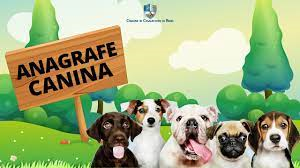 Giornata dedicata all'Anagrafe Canina - Laconi 12 Marzo 2024