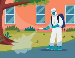 Intervento di disinfestazione contro insetti alati nel centro abitato e nelle frazioni